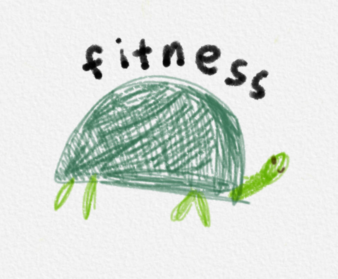 Fitness Turtle Cover