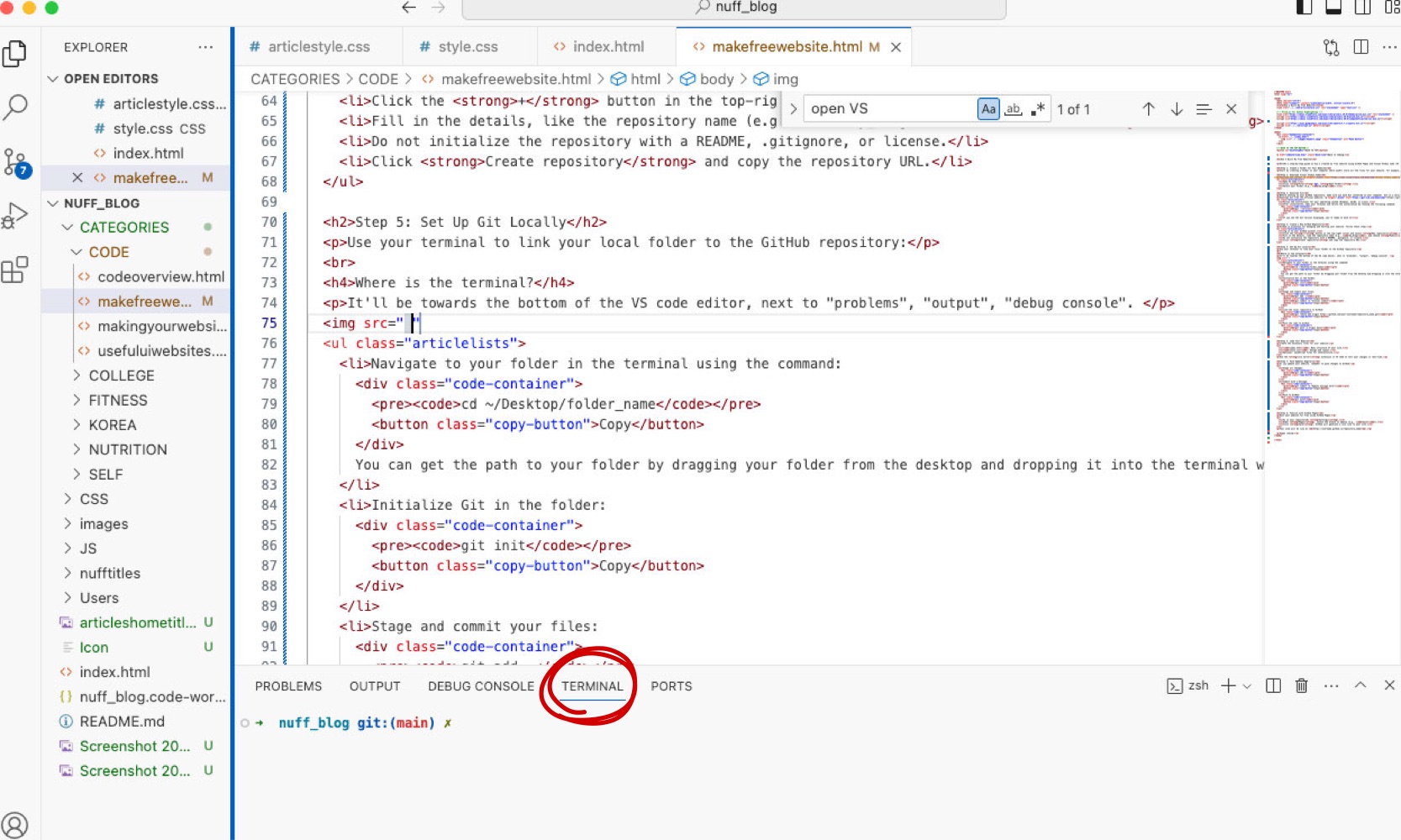 picture of VS Code Editor with Terminal at the bottom